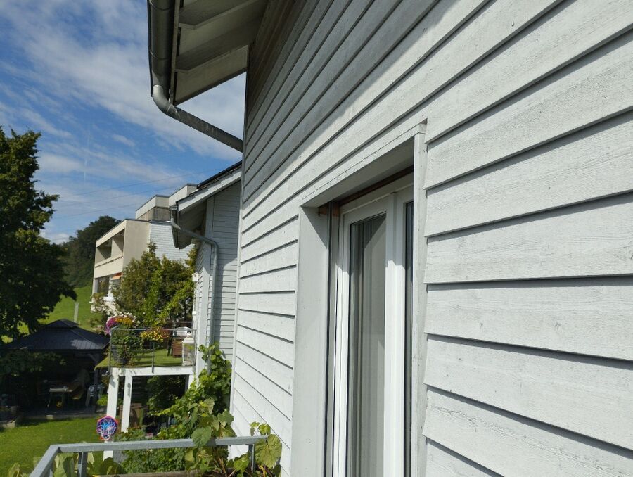 ruche abeille maison que faire