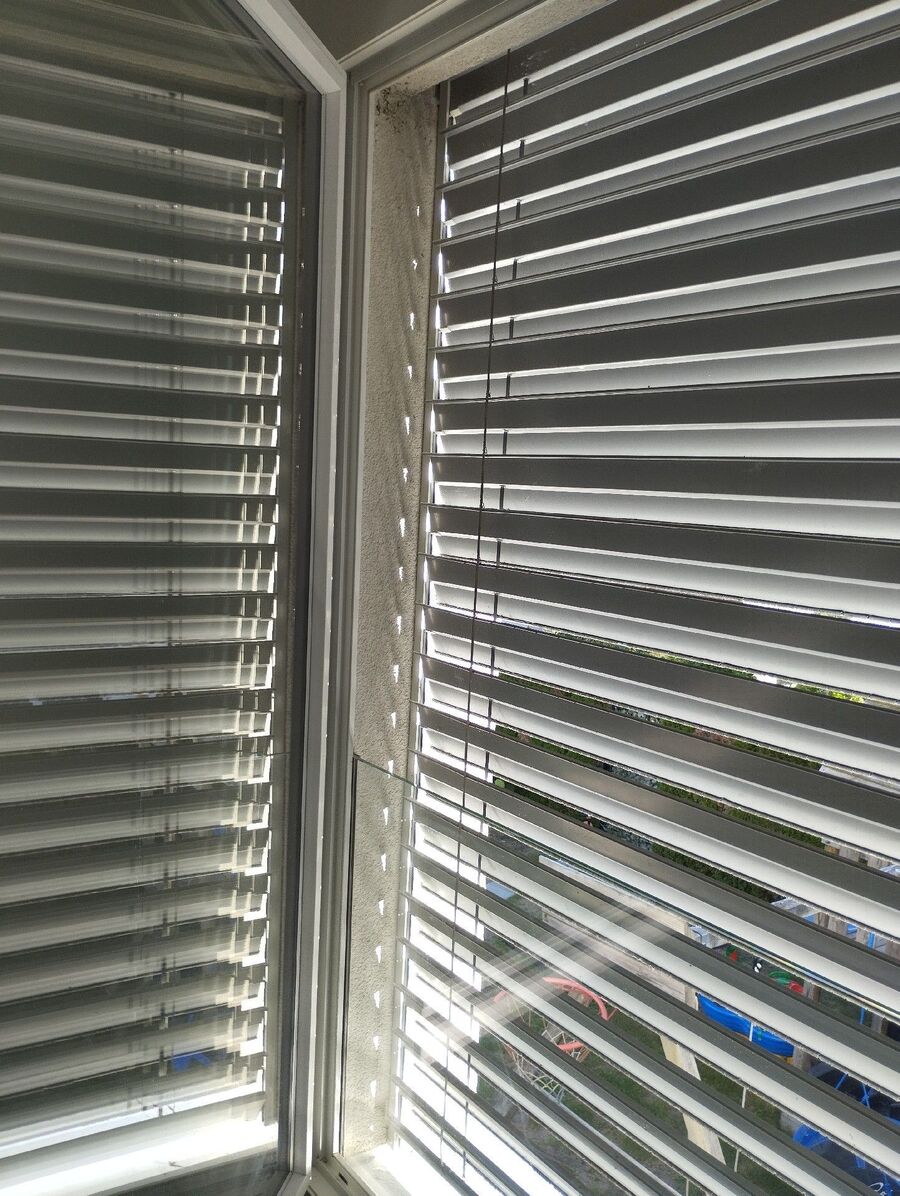 essaim d abeille enlevement