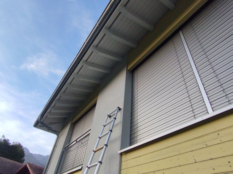 ruche abeille maison que faire