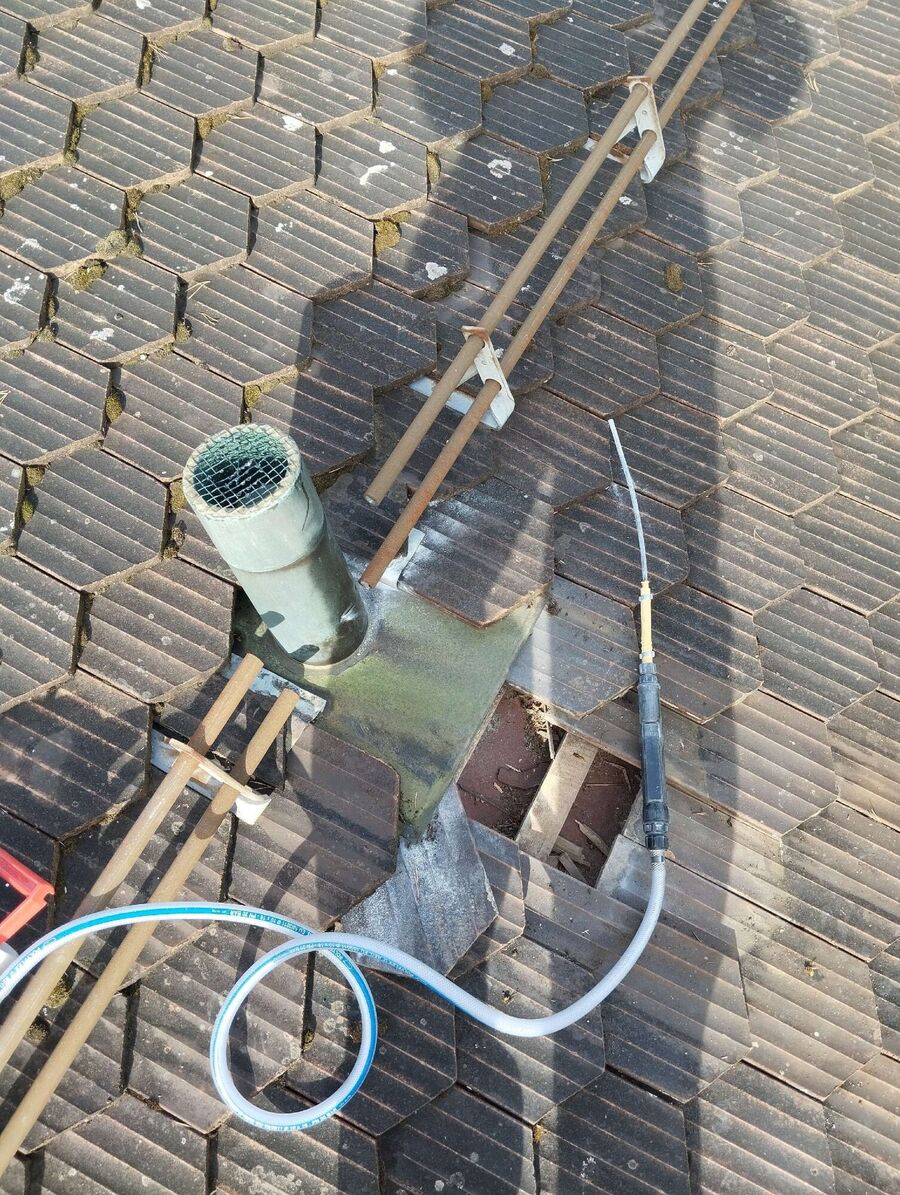 essaim d abeille enlevement