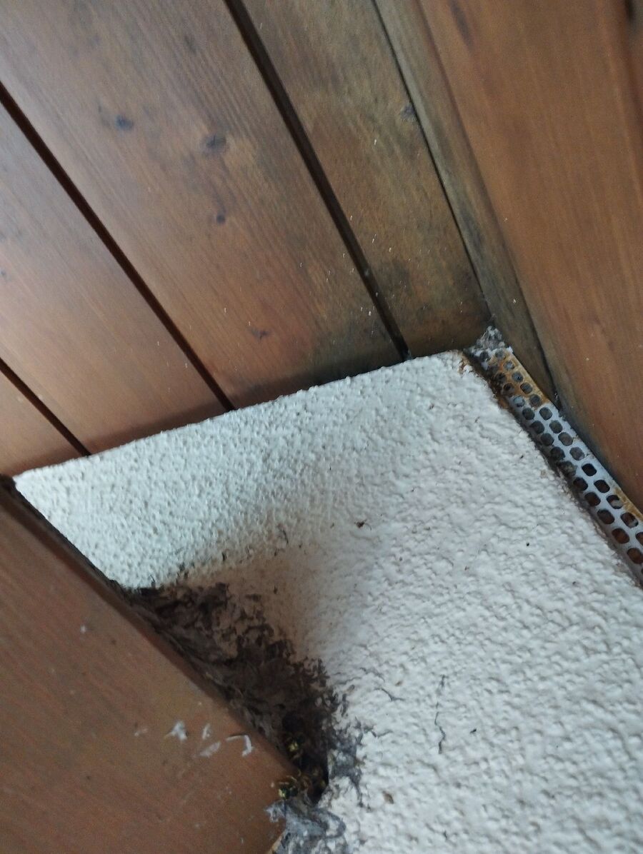 enlever un nid d abeille