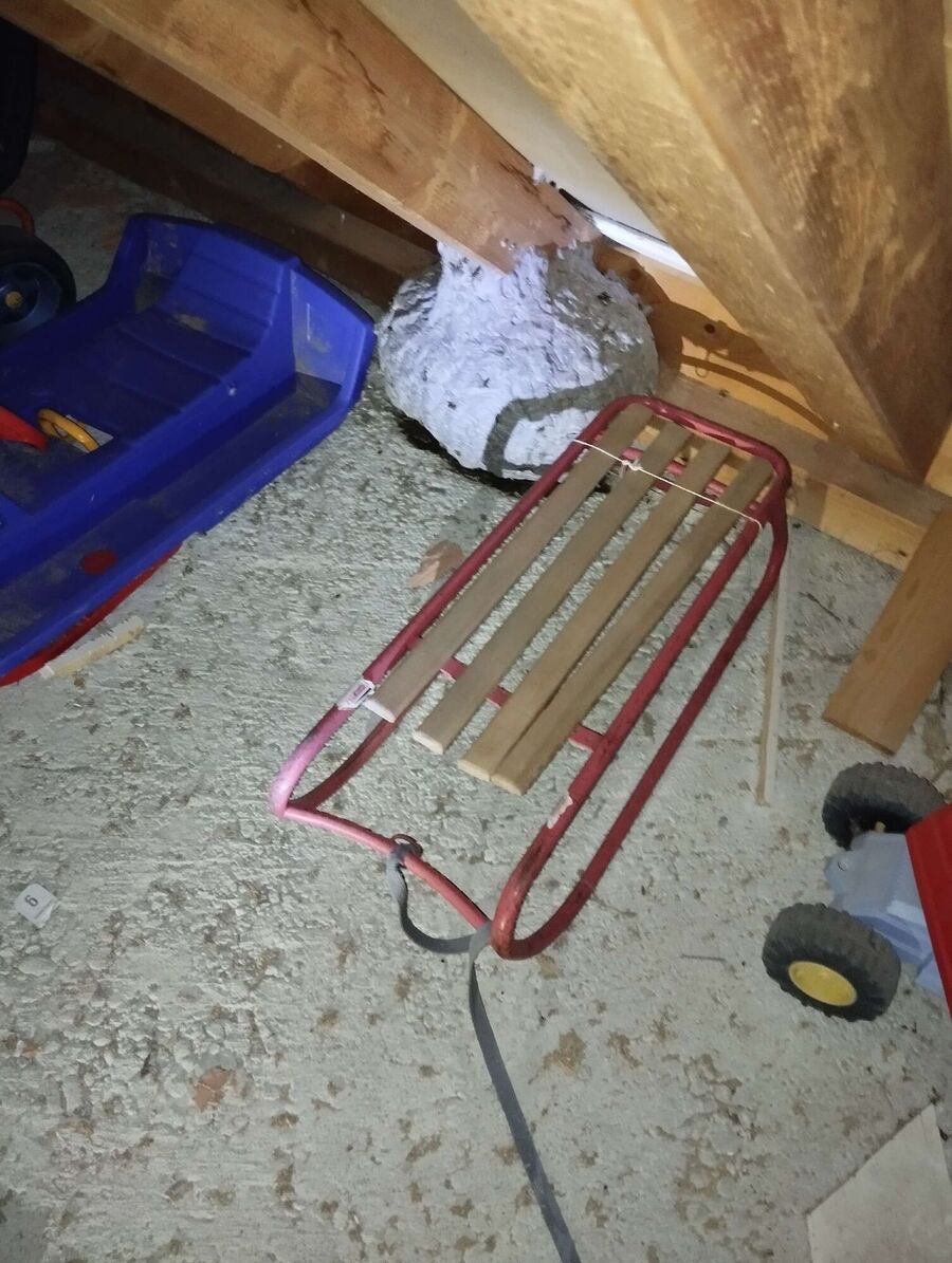 nid d abeille que faire