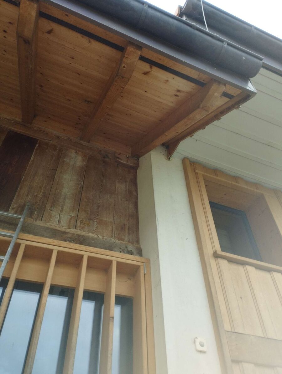 ruche abeille maison que faire