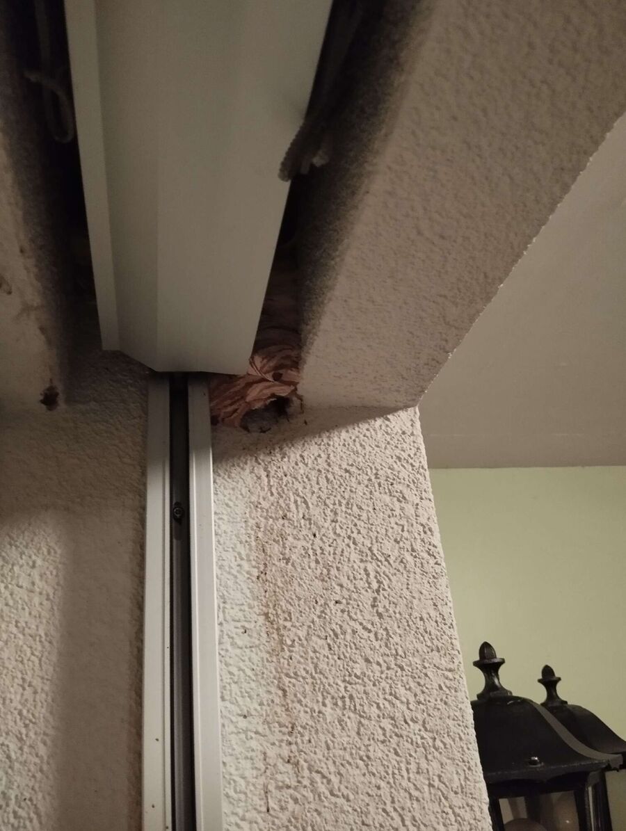 enlever un nid d abeille