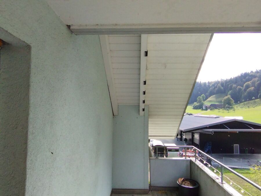 essaim d abeille enlevement