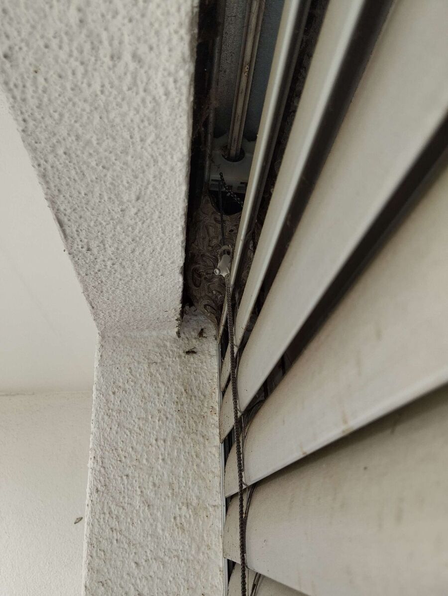 nid d abeille que faire