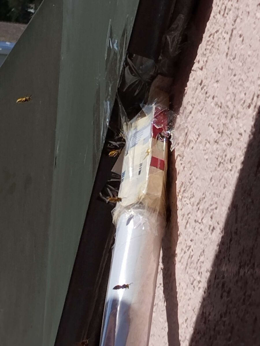 nid d abeille que faire