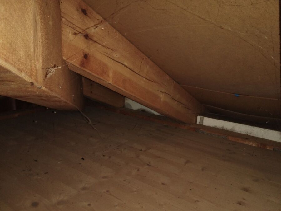 ruche abeille maison que faire