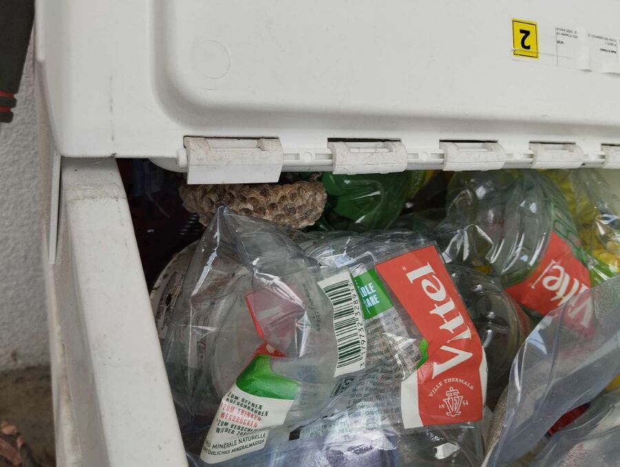 essaim d abeille enlevement