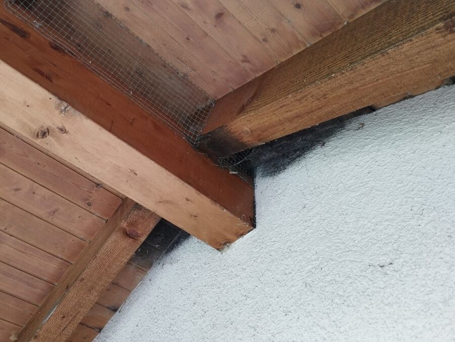 nid d abeille que faire