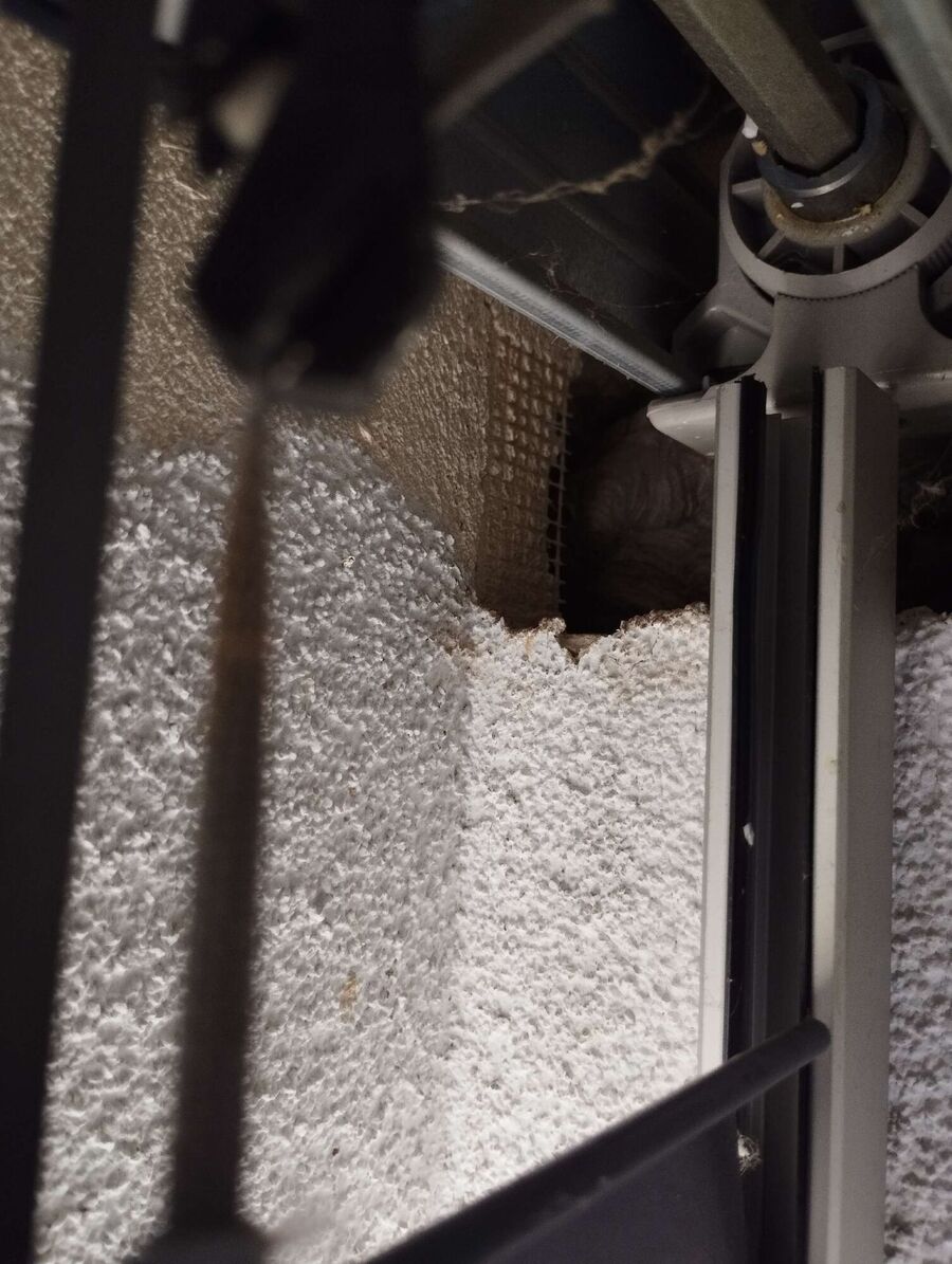 ruche abeille maison que faire