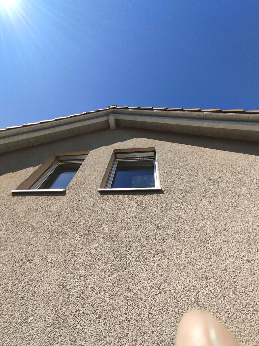 ruche abeille maison que faire