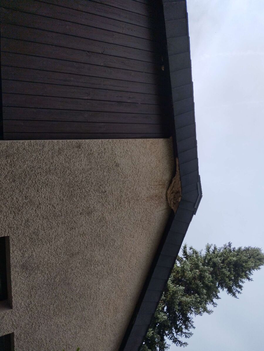 enlever un nid d abeille