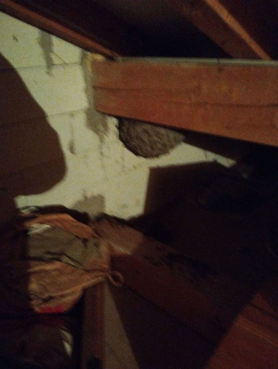 enlever un nid d abeille