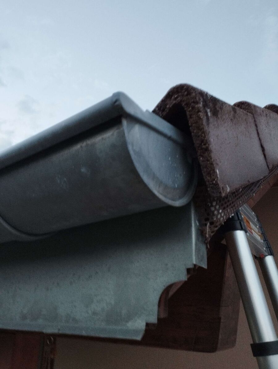 nid d abeille que faire