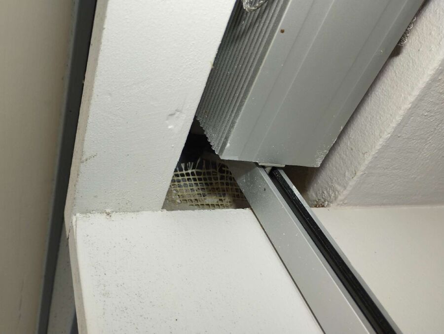 ruche abeille maison que faire