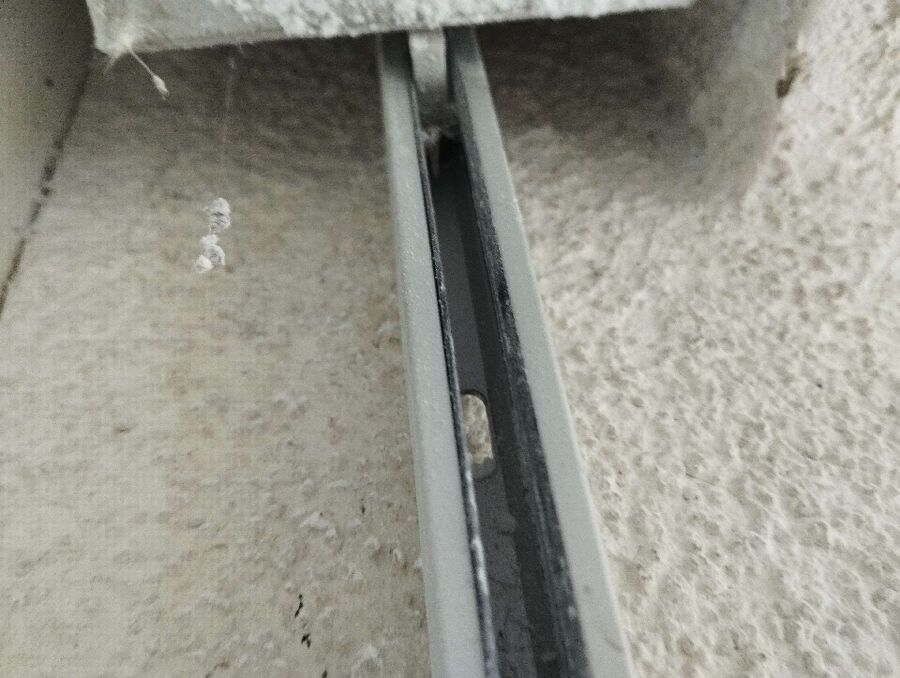 essaim d abeille enlevement