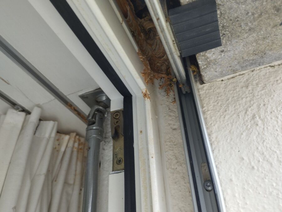 enlever un nid d abeille