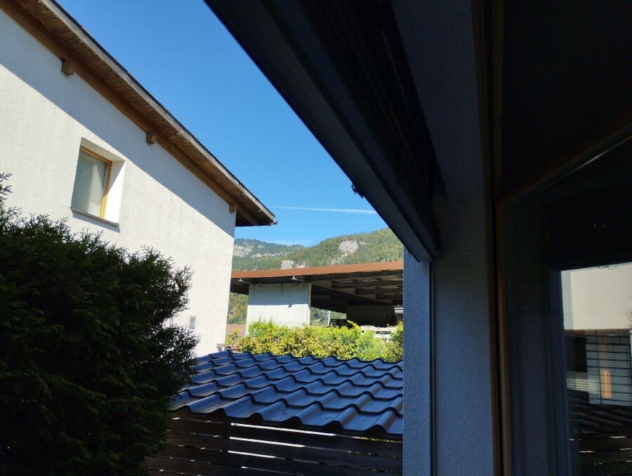 ruche abeille maison que faire