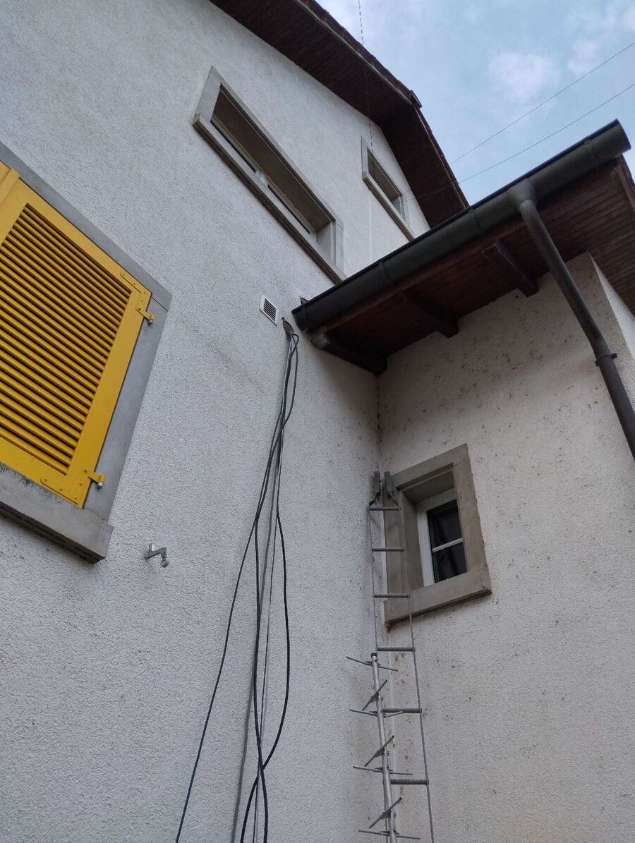 nid d abeille que faire