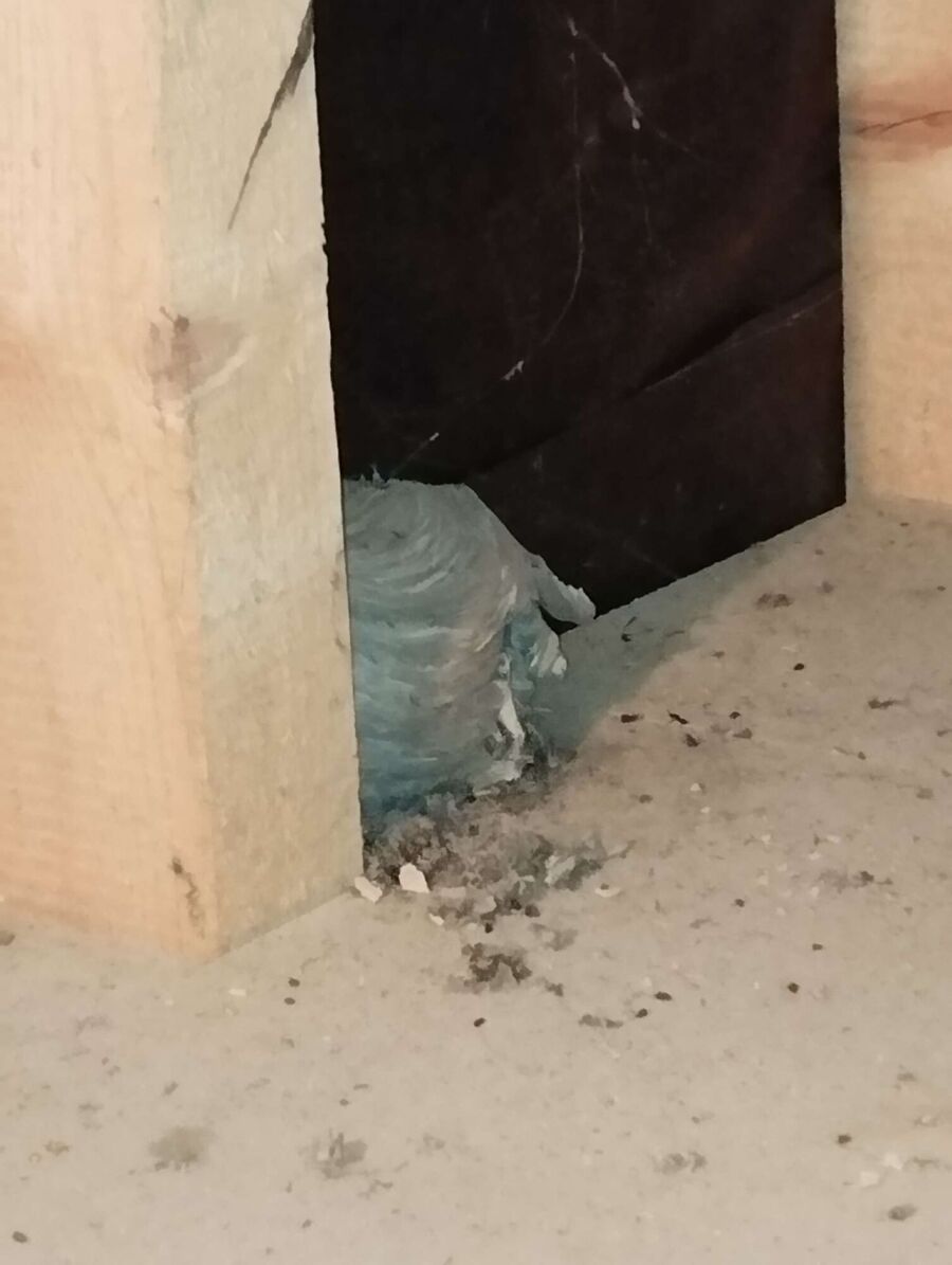 nid d abeille que faire