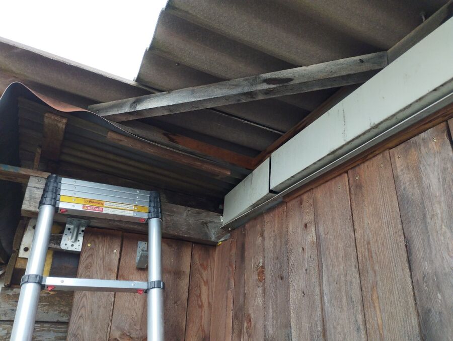 ruche abeille maison que faire