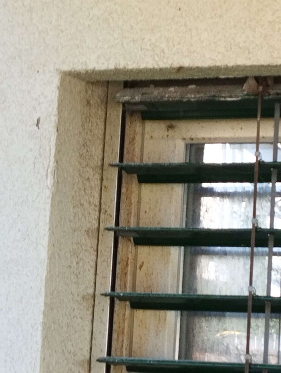 enlever un nid d abeille