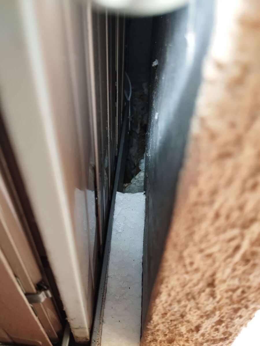 essaim d abeille enlevement