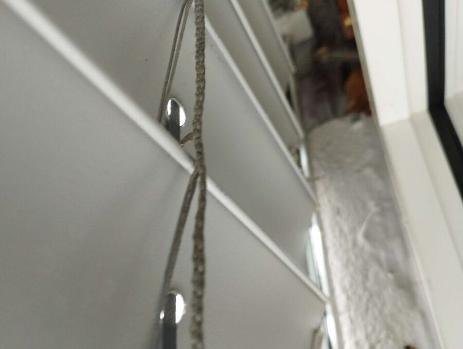 enlever un nid d abeille