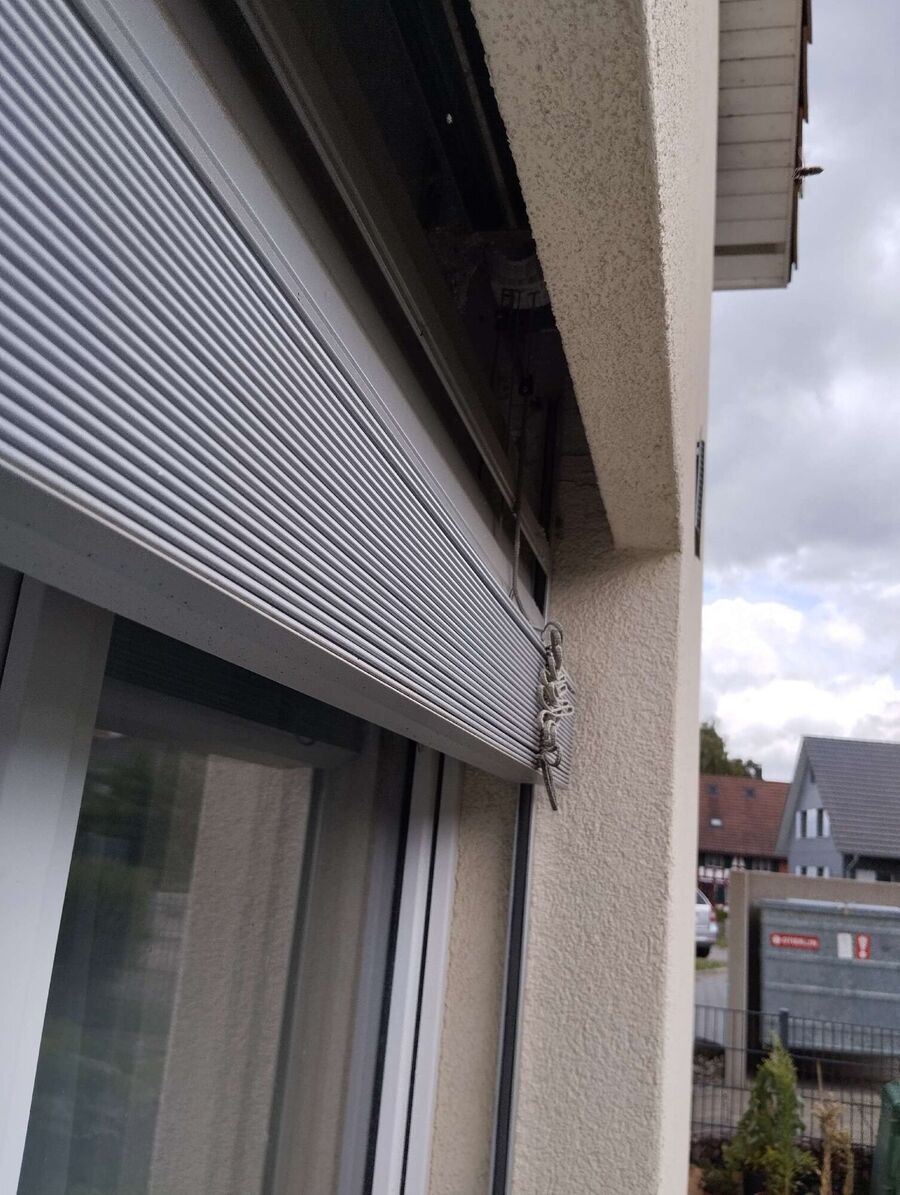 ruche abeille maison que faire