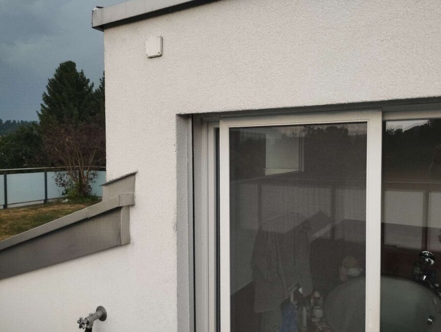 ruche abeille maison que faire