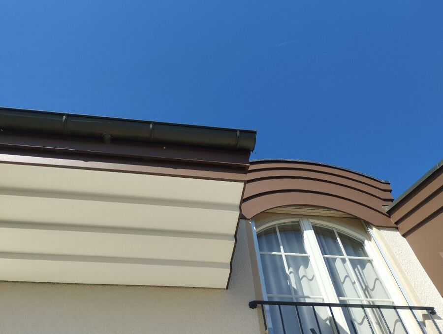 ruche abeille maison que faire