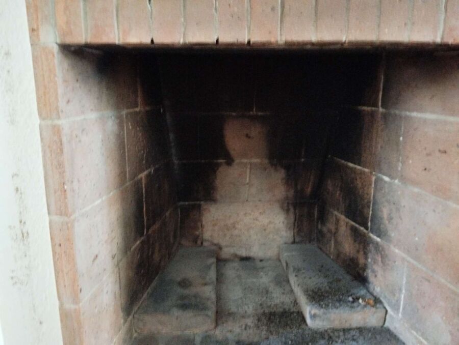 ruche abeille maison que faire