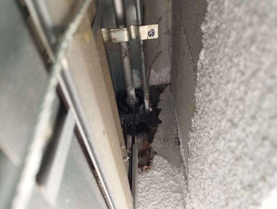 essaim d abeille enlevement