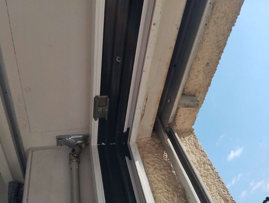 essaim d abeille enlevement