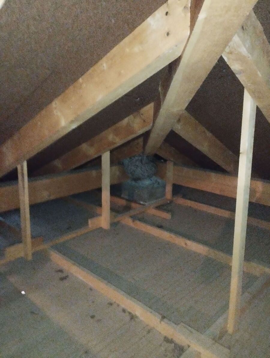 ruche abeille maison que faire