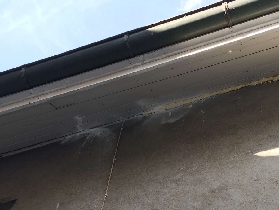 nid d abeille que faire