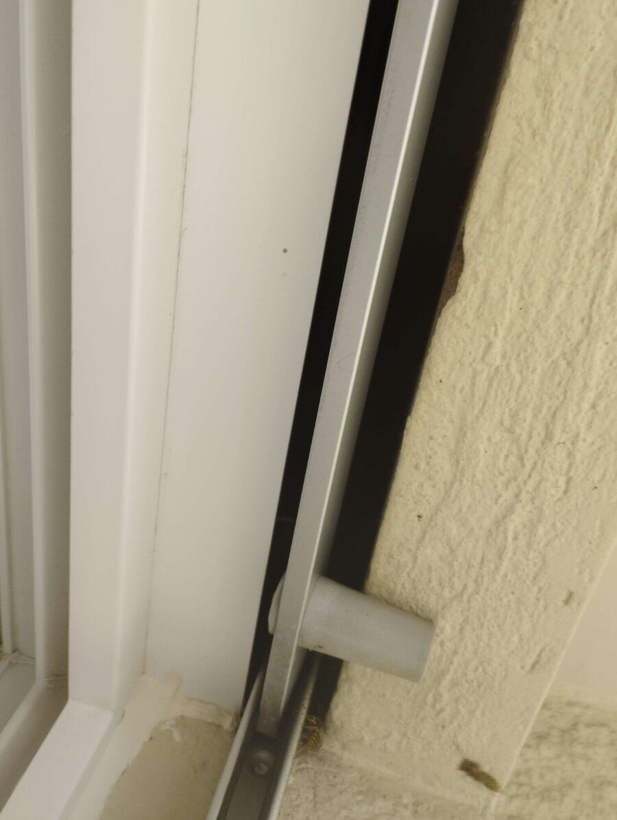 essaim d abeille enlevement