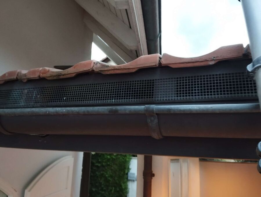 essaim d abeille enlevement