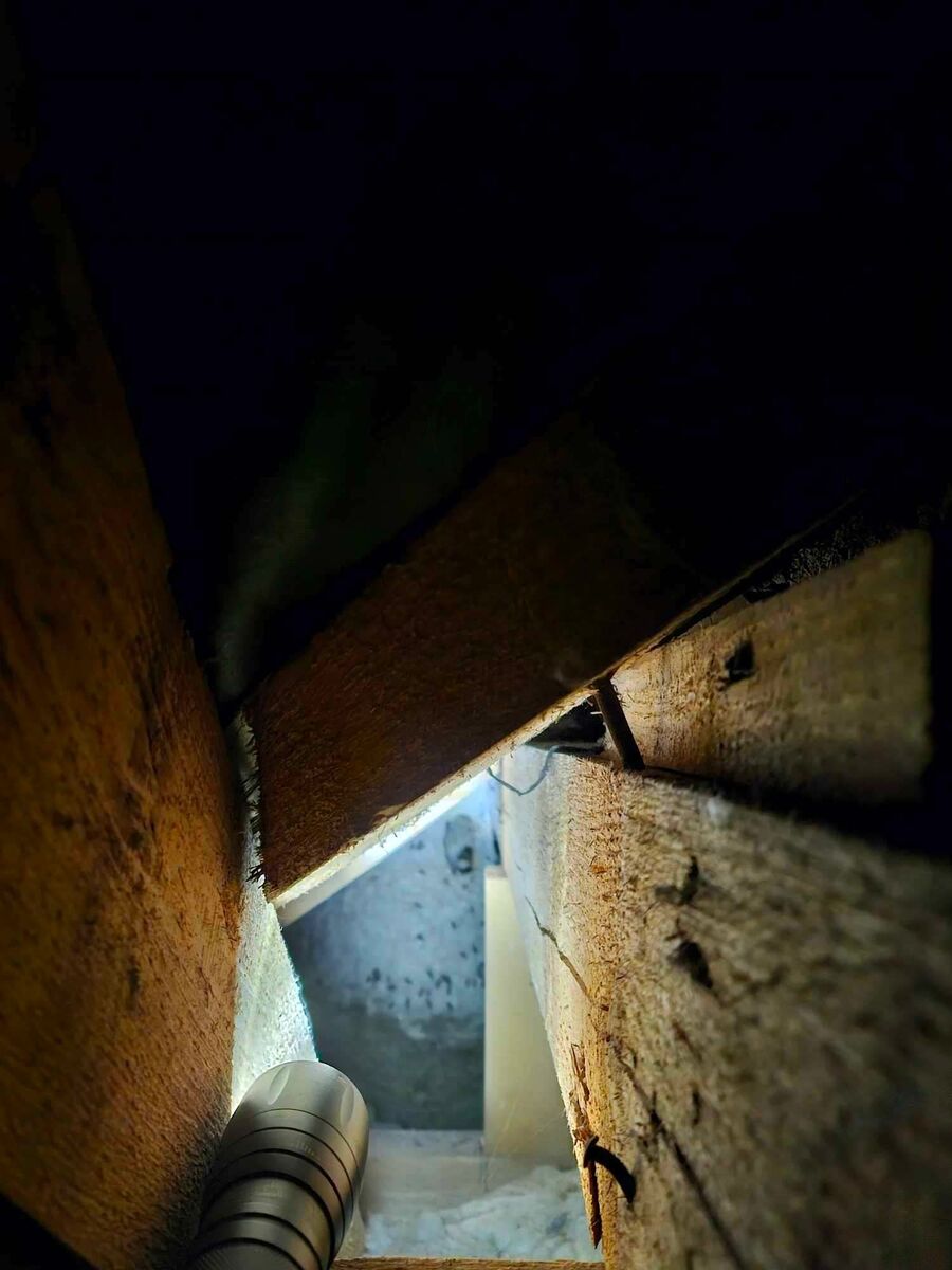 nid d abeille que faire