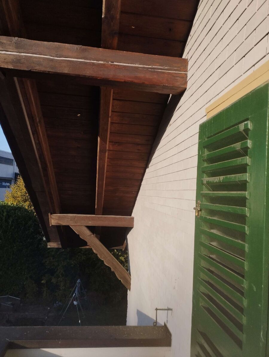 essaim d abeille enlevement