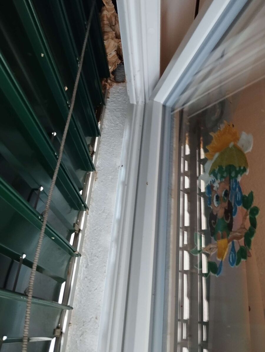 nid d abeille que faire