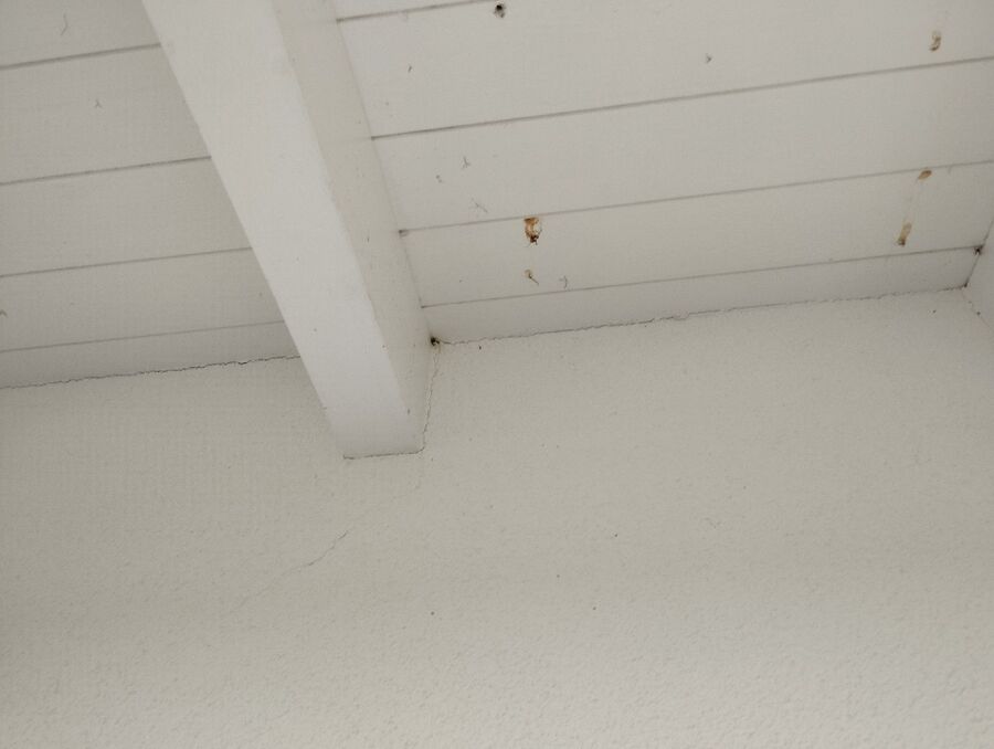 essaim d abeille enlevement