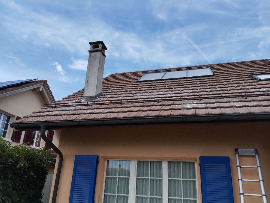 essaim d abeille enlevement