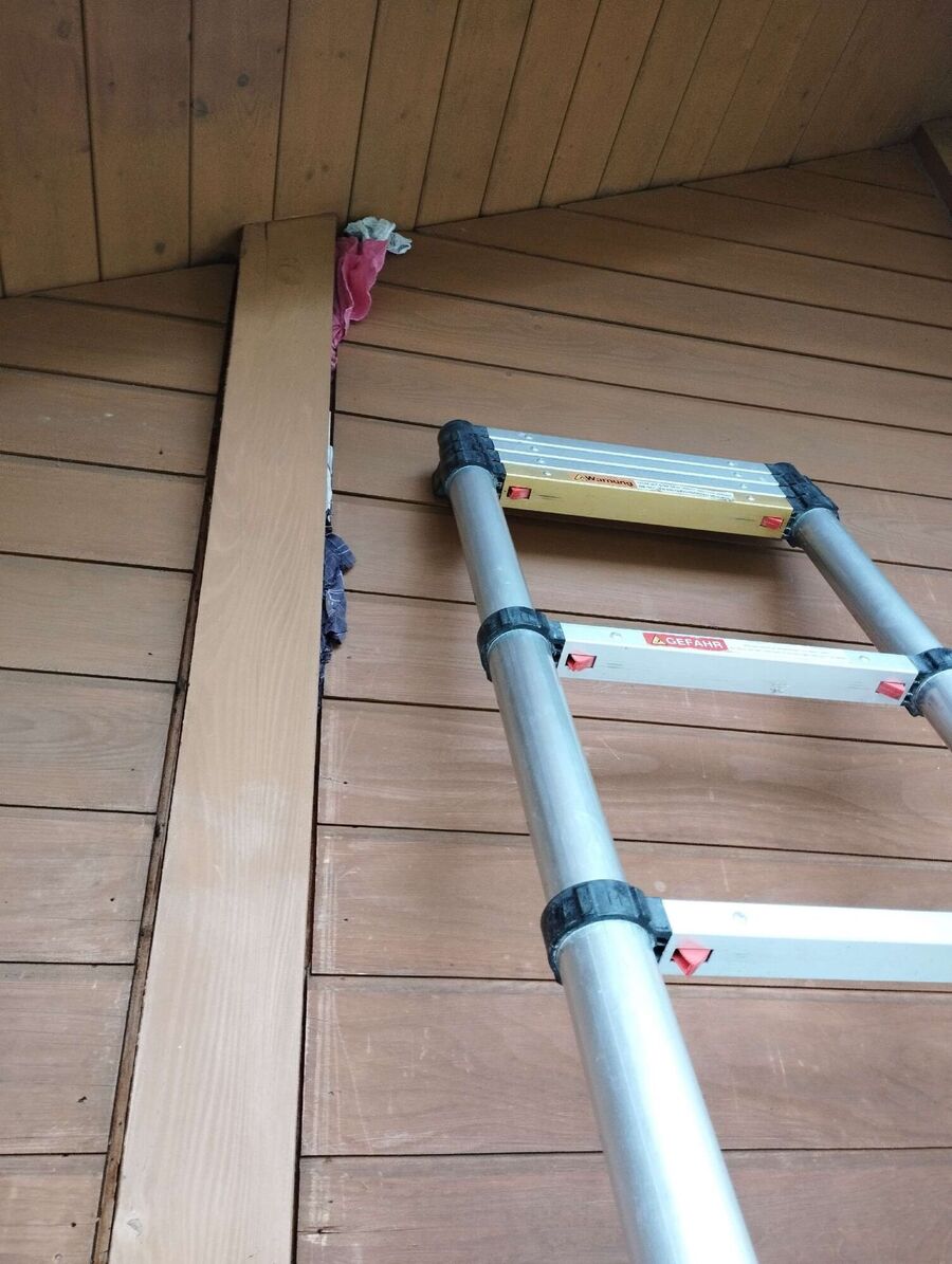 ruche abeille maison que faire