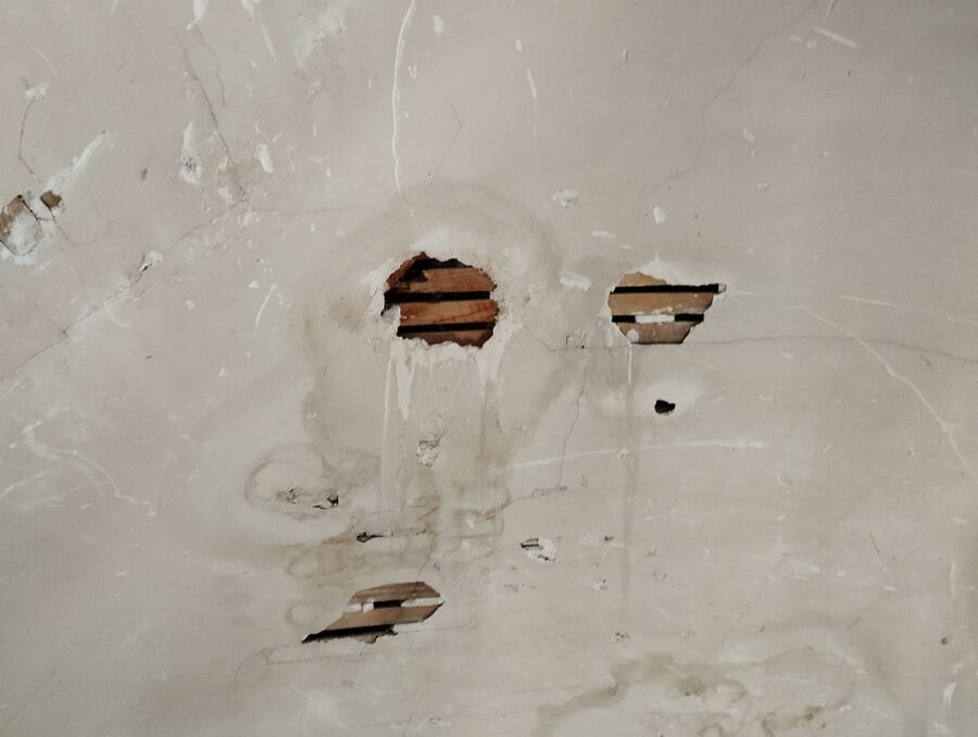 ruche abeille maison que faire