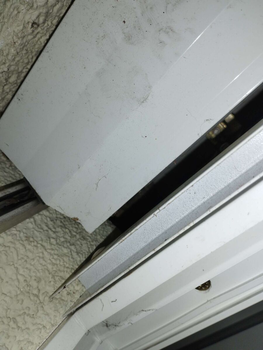 enlever un nid d abeille