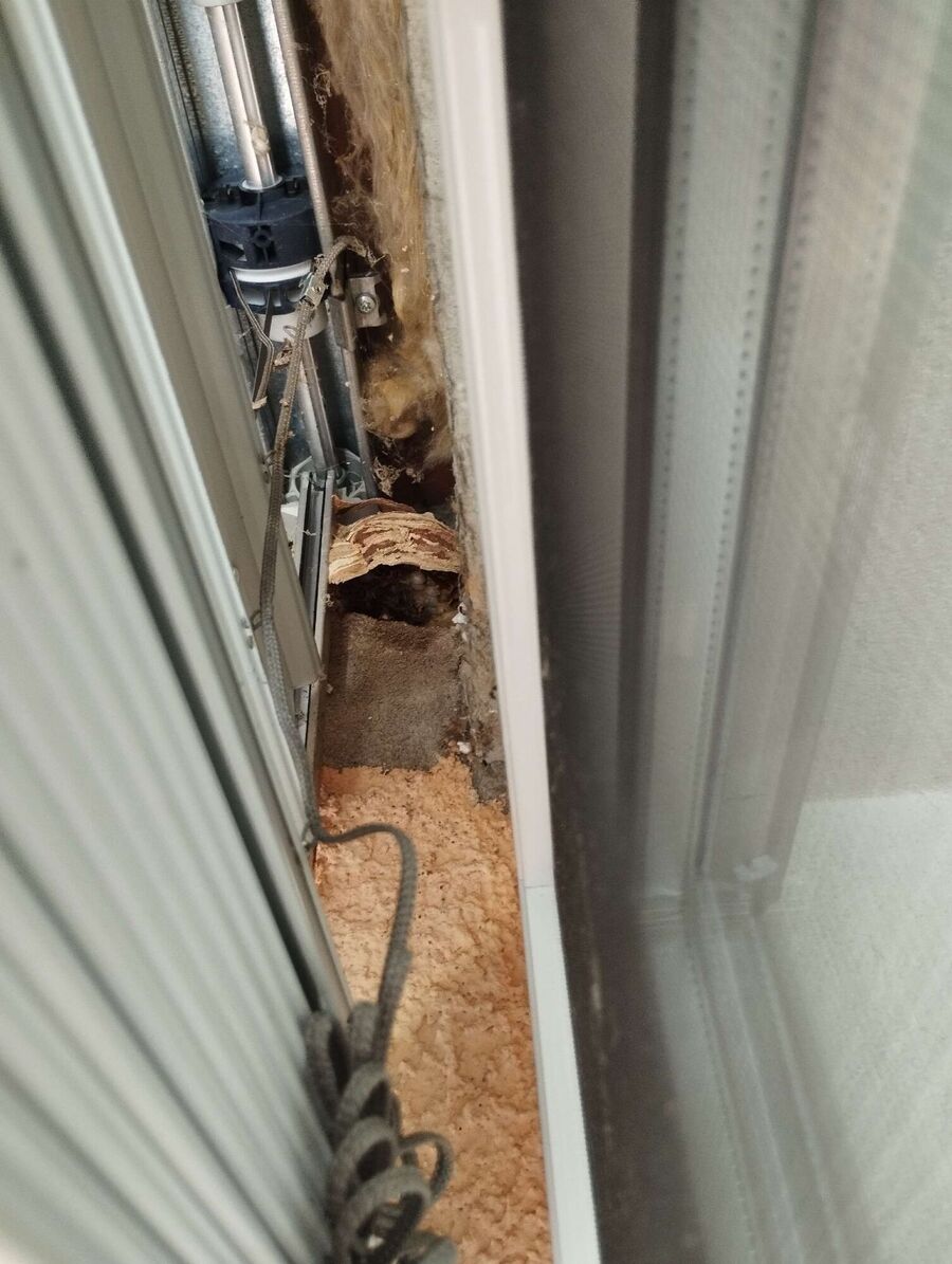 nid d abeille que faire