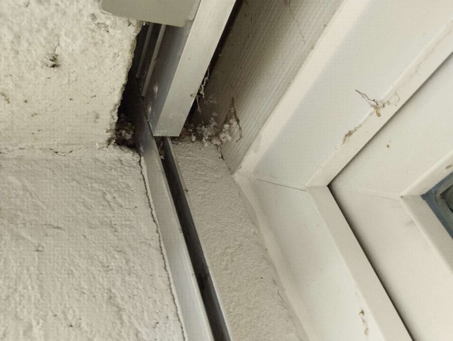 enlever un nid d abeille