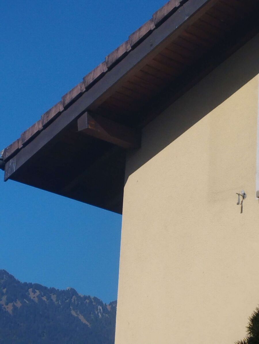 nid d abeille que faire